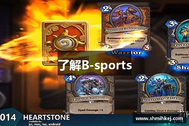 了解B-sports